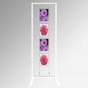 Free-Standing Suspended Poster Display Holders Stand A4 Portrait/Landscape 